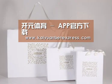 项目名称十一