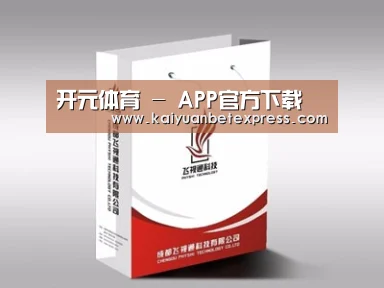 项目名称十三