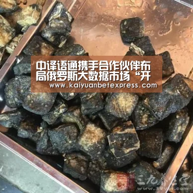 中译语通携手合作伙伴布局俄罗斯大数据市场“开元百家乐”(图2) 开元百家乐