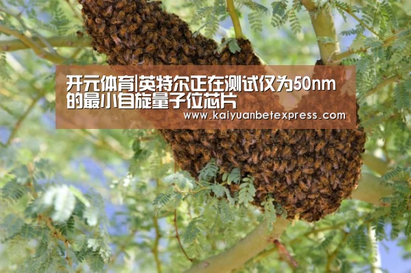 开元体育|英特尔正在测试仅为50nm的最小自旋量子位芯片(图3) 开元体育