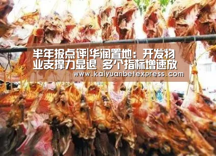 半年报点评|华润置地:开发物业支撑力显退 多个指标增速放缓【开元百家乐】(图1) 开元体育