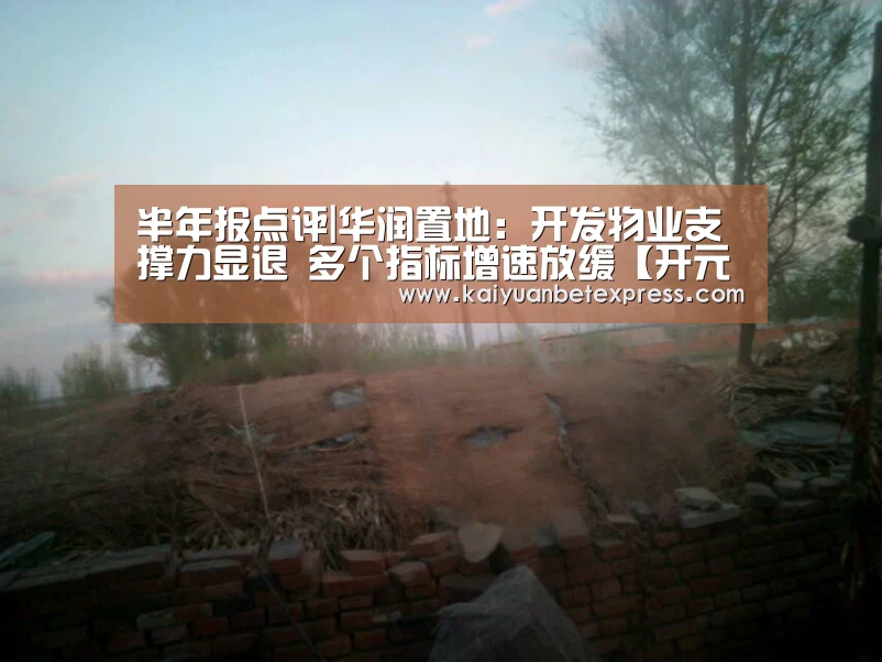 半年报点评|华润置地:开发物业支撑力显退 多个指标增速放缓【开元百家乐】(图2) 开元体育