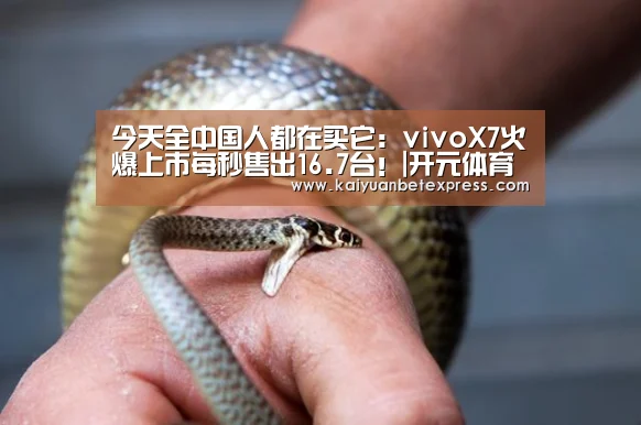 今天全中国人都在买它:vivoX7火爆上市每秒售出16.7台!|开元体育(图2) 开元百家乐