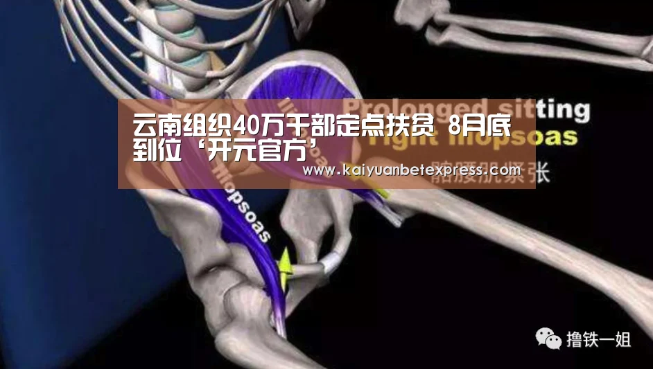 云南组织40万干部定点扶贫 8月底到位‘开元官方’(图1) 开元娱乐