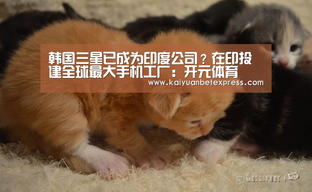 韩国三星已成为印度公司?在印投建全球最大手机工厂:开元体育(图1) 开元娱乐