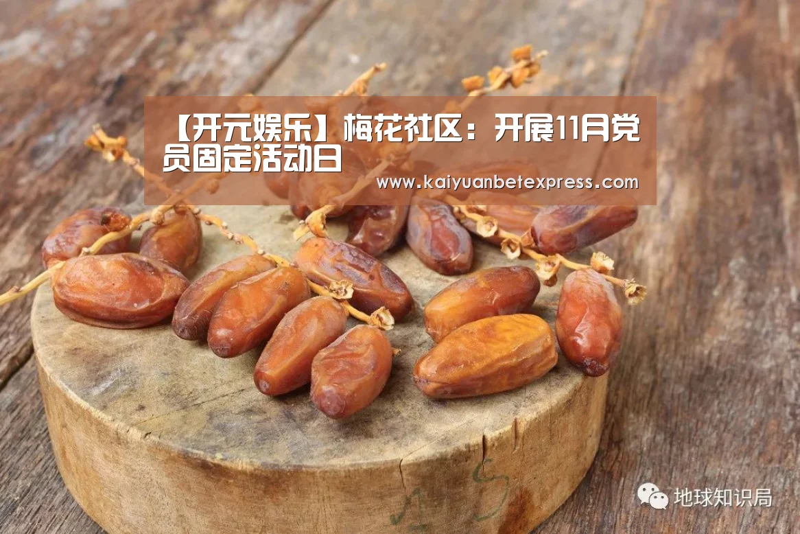 【开元娱乐】梅花社区:开展11月党员固定活动日(图2) 开元百家乐