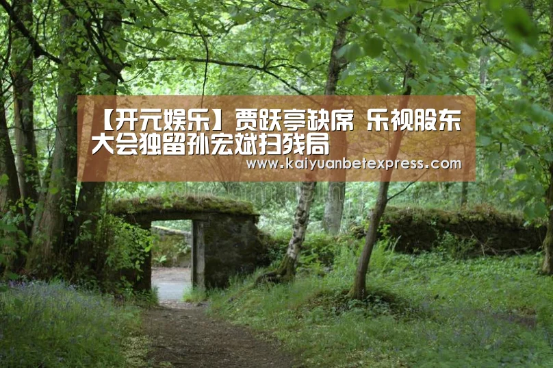 【开元娱乐】贾跃亭缺席 乐视股东大会独留孙宏斌扫残局(图2) 开元官方