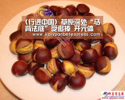 开元百家乐